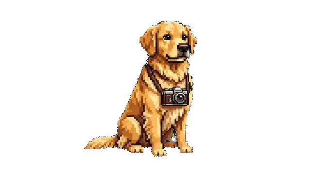 Pixel, the golden retriever who tracks down where your photos appear online